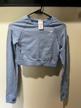 Gymshark Heather Blue Seamless Long Sleeve Crop Top